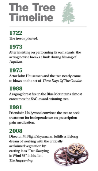 Illustration for article titled Tree Featured In 'The Deer Hunter' Dies